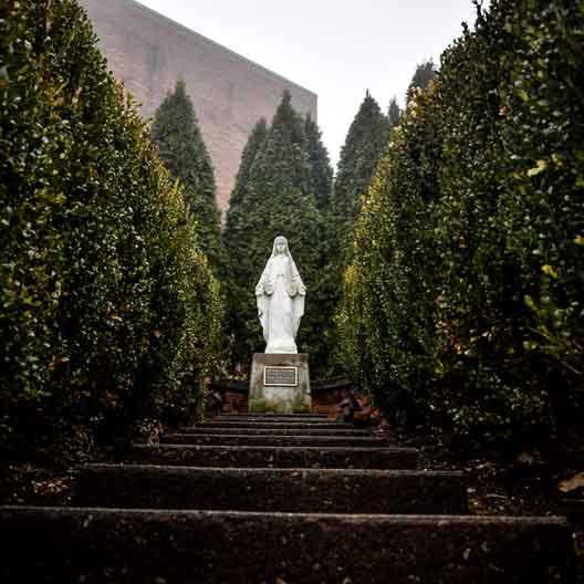 圣母的雕像，周围环绕着小树